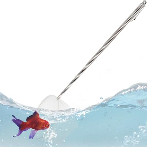 Aquariennetz - Garnelennetz für Aquarium, Fischnetz für Aquarium | Goldfischnetz mit verstellbarem Griff von 12,7 bis 38,1 cm Länge, Aquarium Netz, Flexib Fischnetz Aquariennetz - Garnelennetz für Aquarium, Fischnetz für Aquarium | Goldfischnetz mit verstellbarem Griff von 12,7 bis 38,1 cm Länge, Aquarium Netz, Flexib Fischnetz von Generic