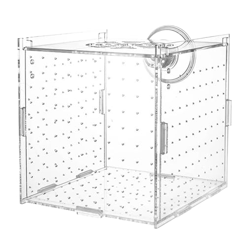 Aquarium Aufzuchtbox,Aufzuchtbox Mit Saugnäpfen - Transparenter Brutkasten Mit Trennwand Zur Aufzucht Von Guppys Kaiserfisch Laich Und Jungtieren von Generic