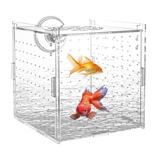 Aquarium Aufzuchtbox | Aufzuchtbox Mit Saugnäpfen - Transparenter Brutkasten Mit Trennwand Zur Aufzucht Von Guppys Kaiserfisch Laich Und Jungtieren von Generic