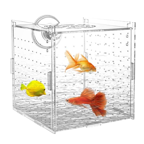 Aquarium Aufzuchtbox Für Fischbrut - Aquarium Separierbox Mit Saugnapfhalterung - Klare Brutbox Mit Trennwand Für Fischbrut Eier Jungfische Betta Guppy Skalar Gewöhnungsbecken von Generic