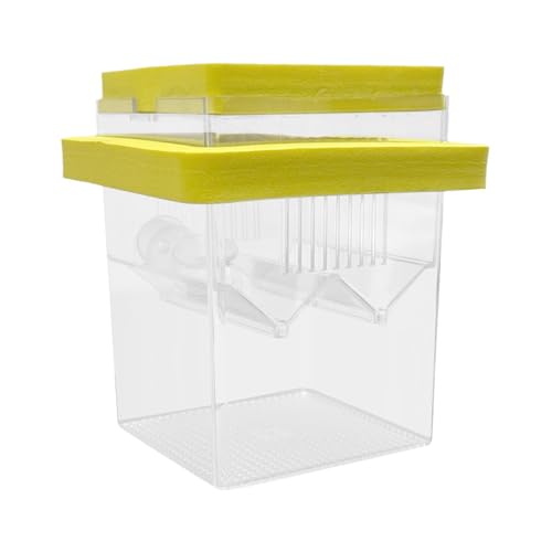 Aquarium Fisch Zuchtbox – Transparent Bruterei Aquarium Tank | Float Kleine Garnelen Isolation Trennwand Schlüpfen Box mit Saugnäpfen | Guppy Betta Fisch Isolation Box für Aquarium Aquarium Fisch Zuchtbox – Transparent Bruterei Aquarium Tank | Float Kleine Garnelen Isolation Trennwand Schlüpfen Box mit Saugnäpfen | Guppy Betta Fisch Isolation Box für Aquarium von Generic