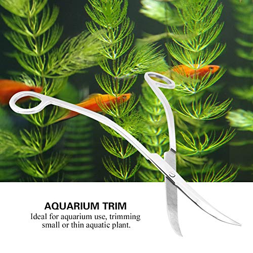 Aquarium-Schere, Pflanzen-Trimmschere, Edelstahl, Gebogene Aquarium-Schere, Extra Lange Aquarium-Schere für Wasserpflanzen, Gebogene Schere, Wasserpflanzen-Trimmwerkzeug für Aquarium-Schere, Pflanzen-Trimmschere, Edelstahl, Gebogene Aquarium-Schere, Extra Lange Aquarium-Schere für Wasserpflanzen, Gebogene Schere, Wasserpflanzen-Trimmwerkzeug für von Generic