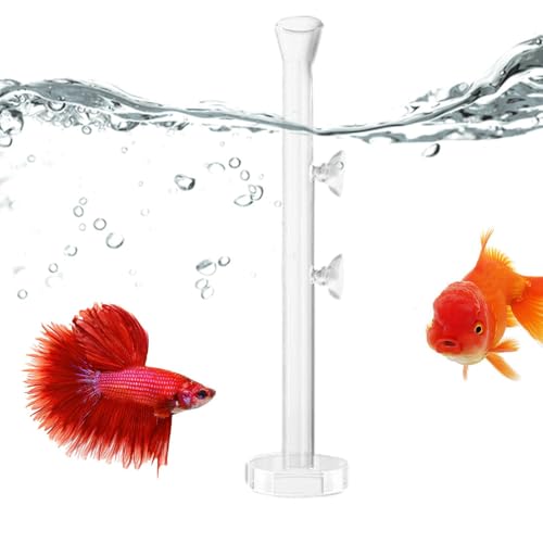 Aquarium Shrimp Feeder - Kristallines Futterrohr mit Schale für Fischtopf | Lebensmittelschlauch für , transparente Futterschale, Stromversorgung für Nano-Canott von Generic