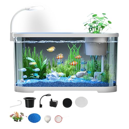 Aquarium Starter Kit - Desktop -Fischtank, Clear Bowl | Dekoratives kleines Aquarium, Haushalts Goldfischtank | Kompaktes Design, einfaches Setup, langlebiges Glas, umweltfreundlicher Filter für Schil von Generic