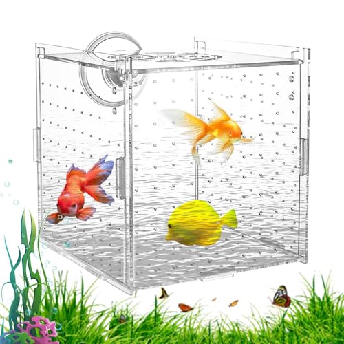 Aquarium Zuchtbox Für Fischbrut - Stabiler Jungfisch Separator Für Aquarien - Transparenter Brutkasten Mit Trennwand Zur Aufzucht Von Guppys Kaiserfisch Laich Und Jungtieren von Generic