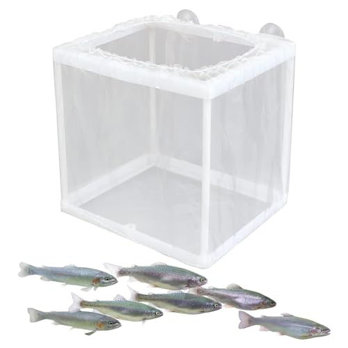 Aquarium Züchter Box - Fischzüchter Box, Tank Inkubator Box | Aquarium Hatcher Juvenile Fish Separation Net mit Saugnäpfen, Juvenile Fish Separation Mesh Container für Guppy Clownfisch Aquarium Züchter Box - Fischzüchter Box, Tank Inkubator Box | Aquarium Hatcher Juvenile Fish Separation Net mit Saugnäpfen, Juvenile Fish Separation Mesh Container für Guppy Clownfisch von Generic