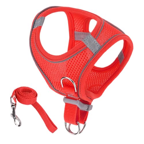 Ausbruchssicheres Katzengeschirr | Weiches Mesh-Geschirr Mit Reflektierenden Sicherheitsstreifen,Haustier Zubehör Für Sicherheit Training Reisen Wandern Rucksack Outdoor Abenteuer Ausbruchssicheres Katzengeschirr | Weiches Mesh-Geschirr Mit Reflektierenden Sicherheitsstreifen,Haustier Zubehör Für Sicherheit Training Reisen Wandern Rucksack Outdoor Abenteuer von Generic
