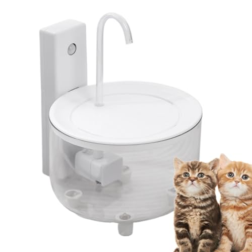 Automatische Katzenwasserquelle: automatischer Katzenwasserbrunnen, Wasserspender für den Innenbereich, elektrisch, rutschfest, ruhig, mit Filtration für Wohnzimmer, Gar Automatische Katzenwasserquelle: automatischer Katzenwasserbrunnen, Wasserspender für den Innenbereich, elektrisch, rutschfest, ruhig, mit Filtration für Wohnzimmer, Gar von Generic