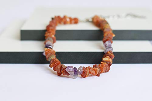 Bernsteinkette für Hunde aus Roh Baltischer Bernstein mit Amethyst verziert | Zeckenhalsband | Bernstein Gegen Zecken | Zecken und Flohschutz Halsband (25-30 cm) von amber us