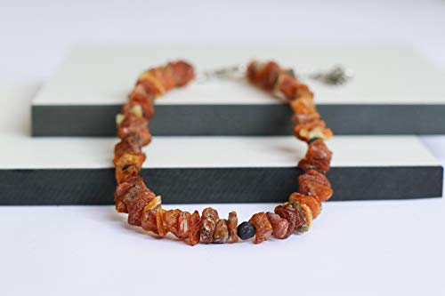 Bernsteinkette für Hunde aus Roh Baltischer Bernstein mit Lava Beads verziert | Zeckenhalsband | Bernstein Gegen Zecken | Zecken und Flohschutz Halsband (45-50 cm) von Generic