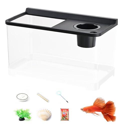 Betta-Aquarium, 3-farbiges Licht – 360°-Ansicht, Haushaltsaquarium | Elegantes Betta-Aquarium für Wohnzimmer, Arbeitszimmer, Schlafzimmer, LED-Beleuchtung, einzigartige Heimdekoration, stilvolles Fisc Betta-Aquarium, 3-farbiges Licht – 360°-Ansicht, Haushaltsaquarium | Elegantes Betta-Aquarium für Wohnzimmer, Arbeitszimmer, Schlafzimmer, LED-Beleuchtung, einzigartige Heimdekoration, stilvolles Fisc von Generic