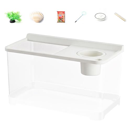 Betta-Aquarium mit 3-farbiger Beleuchtung – 360°-Ansicht für den Haushalt | LED-Aquarium für Wohnzimmer, Arbeitszimmer, Schlafzimmer, einzigartiges Betta-Fischglas, stilvolle Heimdekoration, LED-Beleu Betta-Aquarium mit 3-farbiger Beleuchtung – 360°-Ansicht für den Haushalt | LED-Aquarium für Wohnzimmer, Arbeitszimmer, Schlafzimmer, einzigartiges Betta-Fischglas, stilvolle Heimdekoration, LED-Beleu von Generic