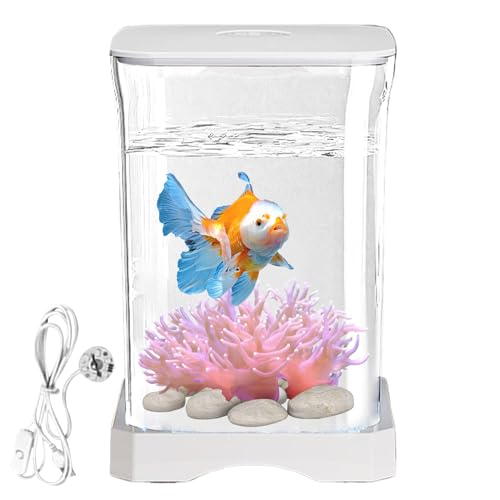 Betta Fish Tank | Kleine Fischtanks aus Acryl mit LED-Beleuchtung | klar für die Wasserlandschaftsgestaltung, Bürodekoration Betta Fish Tank | Kleine Fischtanks aus Acryl mit LED-Beleuchtung | klar für die Wasserlandschaftsgestaltung, Bürodekoration von Generic