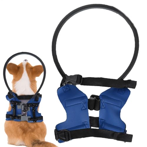 Blind Dog Bumper Harness Training Safety Adjustable Lightweight Bumper Protective Pet Collar Anti Collision Rings Protective Device for Eye Injury Blind Dog Bumper Harness Training Safety Adjustable Lightweight Bumper Protective Pet Collar Anti Collision Rings Protective Device for Eye Injury von Generic