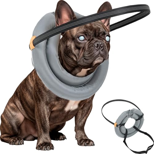 Blinde Hunde, Größe M von Generic