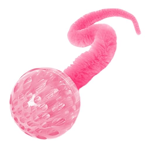 Bouncy Ball Cat Toy,Interactive Magic Worm with Ball Toy for Cats | Cats Teaser Wand Toy for Grinding, Rolling, Bouncing, Pet Birthday Bouncy Ball Cat Toy,Interactive Magic Worm with Ball Toy for Cats | Cats Teaser Wand Toy for Grinding, Rolling, Bouncing, Pet Birthday von Generic