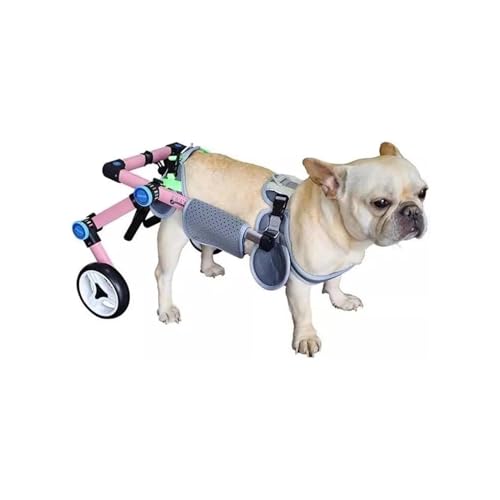 Breitenverstellbarer Rollstuhl Für Hunde, Faltbarer Katzenrollstuhl, Hunderollstuhl Für Kleine/extra Große Hunde/behinderte Hunde(3XS) von Generic
