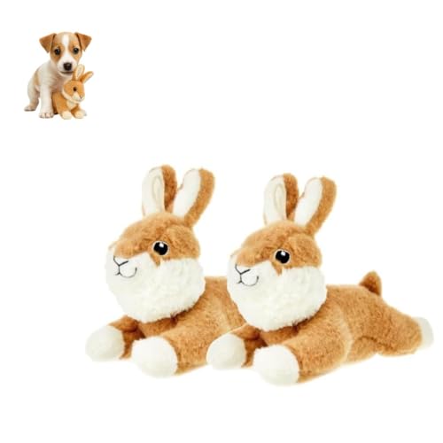 Bunny Quietschendes Plüsch-Hundespielzeug - Quietschend Weich für Kleine Hunde, Interaktives Häschen Haustier, Plüschtier, Langlebig Flauschig.(2 Stück) von Generic