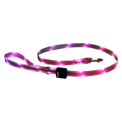 Buntes Traktionsset für Haustiere, LED-Leuchthalsband, Traktionsseil, für Hunde, Outdoor, Traktionshalsband, Vier Farben optional Qmz288 (150cm) von Generic