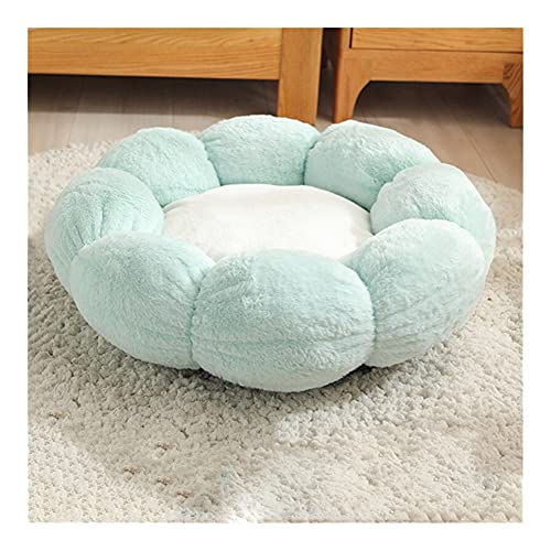 Cat Beds Katzenbett in Blumenform, gemütlich, ultraweich, Plüsch, Hundekorb, Sonnenliege für Indoor-Katzen, Haustierbedarf, Zubehör Cat Beds Katzenbett in Blumenform, gemütlich, ultraweich, Plüsch, Hundekorb, Sonnenliege für Indoor-Katzen, Haustierbedarf, Zubehör von Generic