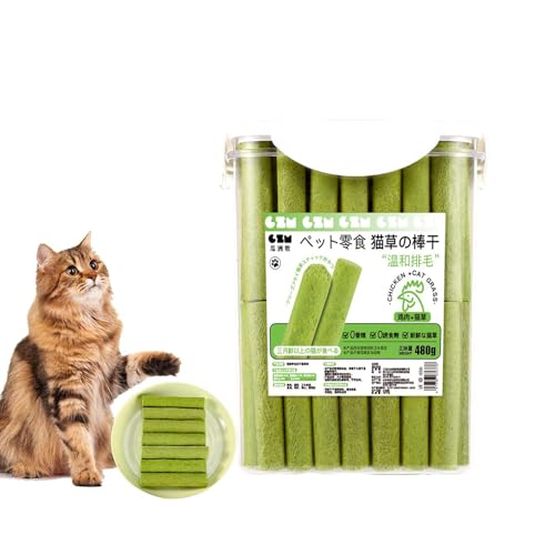 Cat Grass Teething Stick,Cat Grass Teething Sticks for Indoor Cats,Natural Cat Grass Sticks,Natural Grass Molar Rod Cat Toy Teeth Cleaner for Hairball Removal,CaDental Care,Increase Appetite (80PCS) von Generic