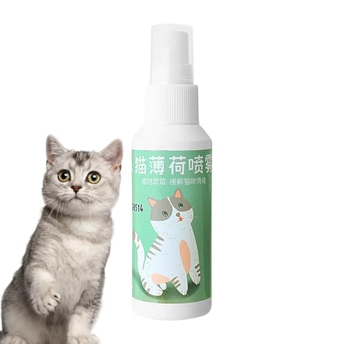 Cat Nip Spray – natürliche Catnip Trexes, Catnip Spray mit hoher Leistung | Catnip genehmigt von Frauen und Katzen, ein sicheres und nicht süchtig machendes Paket Katzenquetschen, eine danach von Generic