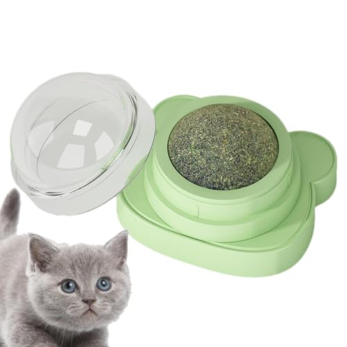 Catnip Wall Ball Toys – Kitty Catnip Wall Toys | Essbare Katzen-Snack-Kugeln, drehbar, mit natürlichem Catnip, gesund, Silber, Galop-Mutter Catnip Wall Ball Toys – Kitty Catnip Wall Toys | Essbare Katzen-Snack-Kugeln, drehbar, mit natürlichem Catnip, gesund, Silber, Galop-Mutter von Generic