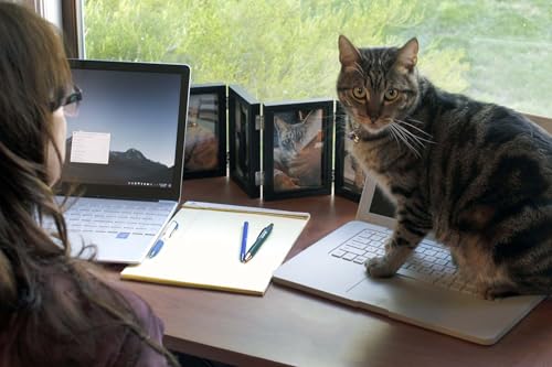 Cattop - Katzen-Laptopbett aus ABS-Kunststoff, 13.375 x 9.125 x 1 Zoll, Multicolor, Einfarbig, für kleine und große Katzenrassen, 15 Pfund Maximum, Innenbereich, Plastik Cattop - Katzen-Laptopbett aus ABS-Kunststoff, 13.375 x 9.125 x 1 Zoll, Multicolor, Einfarbig, für kleine und große Katzenrassen, 15 Pfund Maximum, Innenbereich, Plastik von Cattop