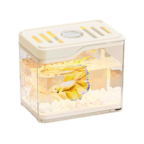 Desktop -Fischtank, Desktop Fischschale | Leichter Stabiler Fischtank - Bunte LED Lights Bowl Desktop Room Decor für Häuser oder Büros von Generic