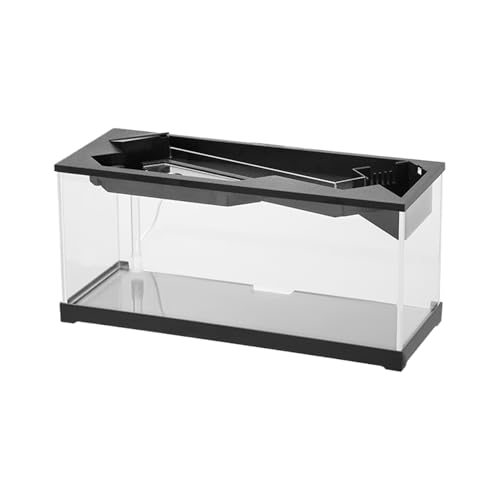 Desktop -Fischtank | Acryl Clear Desk Aquarium mit Filter | Kompaktes Desktop -Aquarium - Acryl -Mini -Fischtank -Starter -Kit mit Filter und Luftpumpe | Schildkrötenlebensraum, klarer Tischta von Generic
