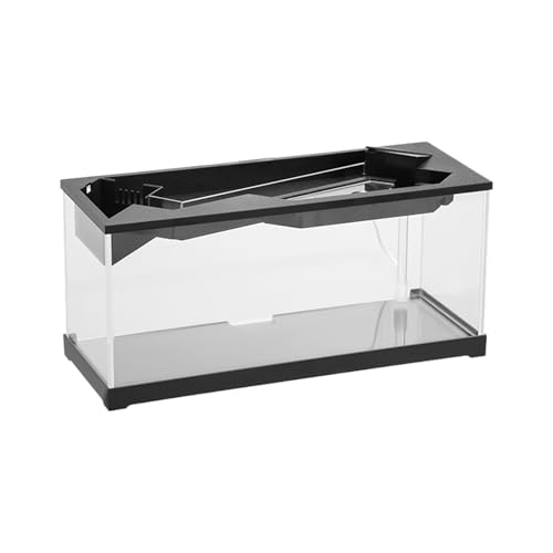 Desktop -Fischtank | Acryl Clear Desk Aquarium mit Filter | Kompaktes Desktop -Aquarium - Acryl -Mini -Fischtank -Starter -Kit mit Filter und Luftpumpe | Schildkrötenlebensraum, klarer Tischta von Generic