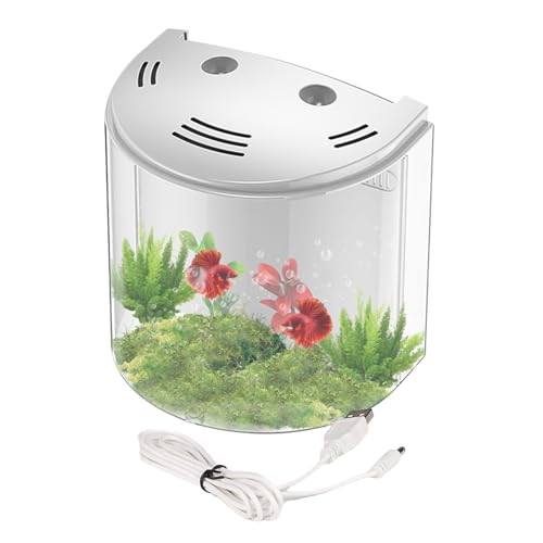Desktop -Fischtank - Selbstverpacktes Mini -Aquarium Mit Wasserpumpe | 2L Transparenter Lebensraum Für Seestern, Schnecken Und Wassertiere | Platz Sparende Kleine Fischschale Für Zuhause, Büro- Und Kl von Generic