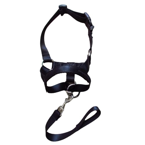Dog Muzzle – Secure Pet Halter | Training Harness with Flexible Straps, Breathable Mouth Guard for Puppies and Adult Dogs, Lightweight Holder Stops Barking, Biting, Chewing, Ensures Safety During von Generic