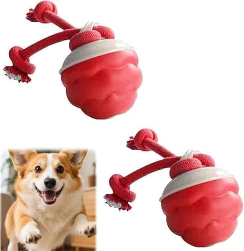 Dog Toy, 2025 New Dog Interactive Toy, nteractive Puppy Chasing Spinning Balls, New Motion Activated Rolling Smart Jumping Ball, USB Rechargeable for Small Medium Dogs (2 Stück Red) von Generic