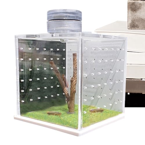 Echsenkäfig - transparente Reptiliengehäuse, Zucht- und Fütterungsbox | Klarer Froschtank mit Licht und Luftbefeuchter, Amphibienlebensraum, kleines Reptilienhaus für Eidechsen, Spinnen und Schlangen von Generic