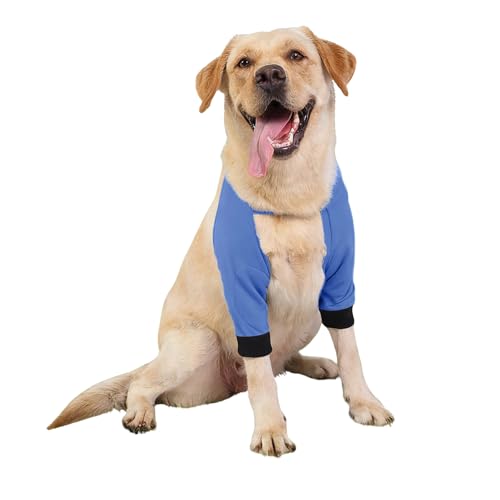 Ellenbogenbandage Hund, liegeschwielen Hundebody Nach Op, Kniebandage Hund Hinterbein, Pfotenschutz Hund, Mittelgroße und Große Hunde Chirurgie Erholung Recovery Sleeve für Vorderbeine (Blau, L) von Generic