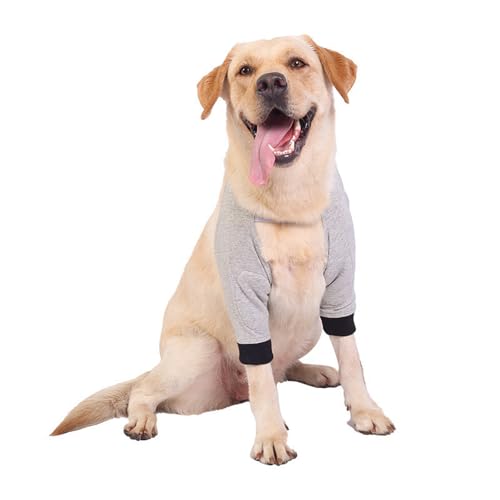 Ellenbogenbandage Hund, liegeschwielen Hundebody Nach Op, Kniebandage Hund Hinterbein, Pfotenschutz Hund, Mittelgroße und Große Hunde Chirurgie Erholung Recovery Sleeve für Vorderbeine (Grau, S) von Generic