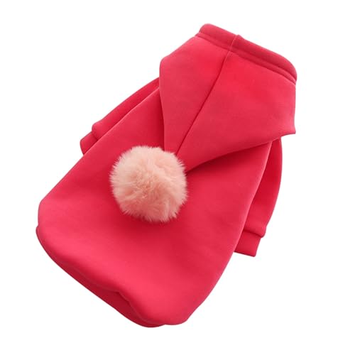 Entzückende Haustierkleidung, weiches Polyester, Katzen- Hunde-Outfits, bequem, für drinnen draußen, süße Tierkostüme für kleine, mittelgroße große Hunde Jng123 (Red, M) von Generic
