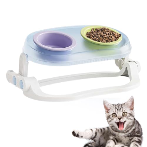 Erhöhte Katzenschale Pet Bowl - Outdoor Cat Feed Container, Hundefutter Dubble Bowl | Lagerbehälter Hundefutter Schüssel Pet Spender, Gekippte Fütterung Schalen Behandeln Feeder Kapazität Für von Generic