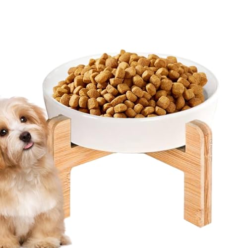 Erhöhte Puzzle-Schüssel – Futternapf für Haustiere, erhöhter Hund, Futterspender für Katzennahrung, auslaufsicher, mit Holzständer, Anti-Erbrechen, langsame Fütterung Erhöhte Puzzle-Schüssel – Futternapf für Haustiere, erhöhter Hund, Futterspender für Katzennahrung, auslaufsicher, mit Holzständer, Anti-Erbrechen, langsame Fütterung von Generic