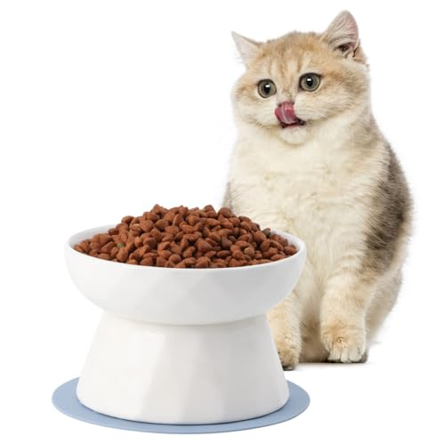 Erhöhter Katzenfutterspender mit rutschfestem Silikonboden, Anti-Erbrechen Erhöhter Schale, Breiter Schnurrhaarfreundlicher Keramik-Katzennapf für Futter und Wasser, spülmaschinenfest Erhöhter Katzenfutterspender mit rutschfestem Silikonboden, Anti-Erbrechen Erhöhter Schale, Breiter Schnurrhaarfreundlicher Keramik-Katzennapf für Futter und Wasser, spülmaschinenfest von Generic
