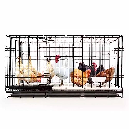 Faltbarer Hühnerkäfig Kleintierkäfig mit ausziehbarem Tablett für Meerschweinchen Kaninchen Lebensraum Metall Entenhaus Indoor-Meerschweinchenkäfig, schwarz Faltbarer Hühnerkäfig Kleintierkäfig mit ausziehbarem Tablett für Meerschweinchen Kaninchen Lebensraum Metall Entenhaus Indoor-Meerschweinchenkäfig, schwarz von Generic
