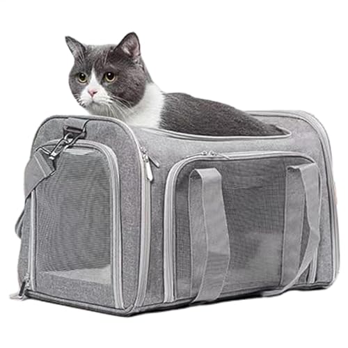 Faltbarer Hundekäfig, Transportbox für Hunde auf Reisen – Zwinger weich für mittelgroße und kleine Hunde | tragbare Hundehütte für drinnen und draußen, einfach zu montieren und zu transportieren Faltbarer Hundekäfig, Transportbox für Hunde auf Reisen – Zwinger weich für mittelgroße und kleine Hunde | tragbare Hundehütte für drinnen und draußen, einfach zu montieren und zu transportieren von Generic