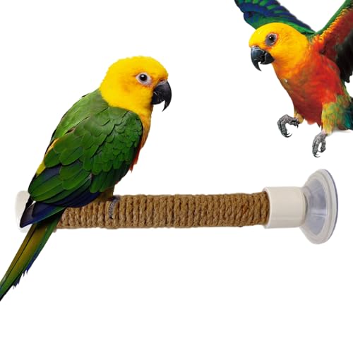 Fensterbarsch für Vögel, Saugnapfbird Barsch | SALAKEET -Trainingsstand | Tragbares -Vogel -Käfig -Zubehör -Saugnapf -Barschspielzeug für Trainingsmittelzubehör von Generic