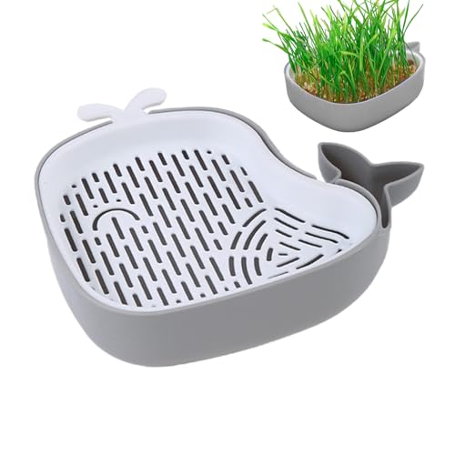 Fiorina di Cat – Knospentablett soilless Kabel mit -Design | Mehrstufiger Katzentopf für Haustiere, Kätzchen und Katzen, Anzuchtkasten Hydroponen von Generic