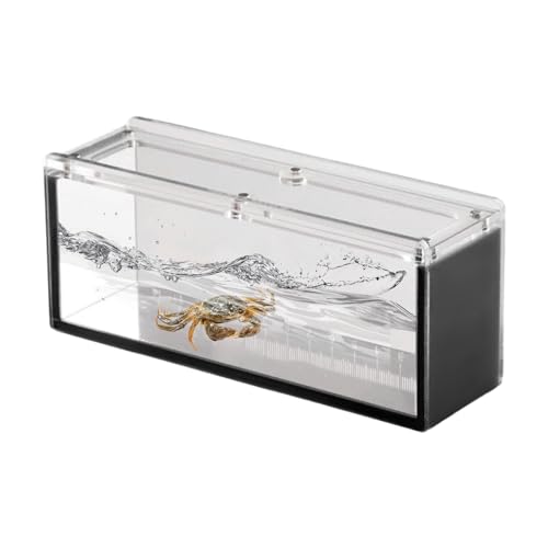 Fischbeobachtungsfall, Acrylfisch -Zuchtbox | Acrylfischbeobachtungsfall mit Deckel,Züchterbox für Wasserisolation für Krabben, Schnecken, Spinnen von Generic