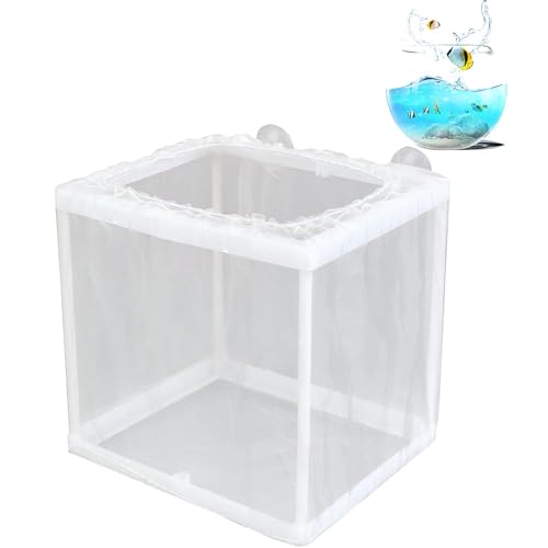 Fischzuchtbox – Fischzuchtbox – Fischzuchtbox für Fische, Fischzuchtbox | Aquarium-Netzbox | Aquarium-Schwimmer-Netz-Box, Jungfisch-Trennnetz, Incu-Box Fischzuchtbox – Fischzuchtbox – Fischzuchtbox für Fische, Fischzuchtbox | Aquarium-Netzbox | Aquarium-Schwimmer-Netz-Box, Jungfisch-Trennnetz, Incu-Box von Generic