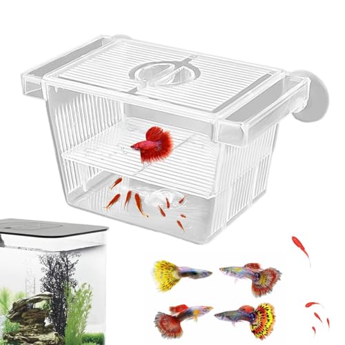Fischzüchterbox – Acryl-Fischzucht-Isolationsbox | Acryl-Tank-Trennwand | 2 Saugnäpfe Aquarium Brutkasten | Aquarium Aquarium für Zuhause, Büro Fischzüchterbox – Acryl-Fischzucht-Isolationsbox | Acryl-Tank-Trennwand | 2 Saugnäpfe Aquarium Brutkasten | Aquarium Aquarium für Zuhause, Büro von Generic