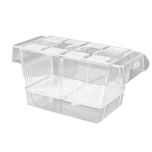Fischzüchterbox – Acryl-Fischzucht-Isolationsbox | Acryl-Tank-Trennwand | 2 Saugnäpfe Aquarium Brutkasten | Aquarium Aquarium für Zuhause, Büro von Generic