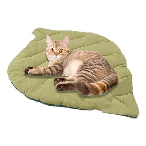 Flaches Katzenbett | Katzenschlafplatz Weiche Katzenmatte | Waschbare rutschfeste Schlafunterlage Für Welpen Kleine Hunde | Boden Transportbox Couch Auto Reise Camping Flaches Katzenbett | Katzenschlafplatz Weiche Katzenmatte | Waschbare rutschfeste Schlafunterlage Für Welpen Kleine Hunde | Boden Transportbox Couch Auto Reise Camping von Generic